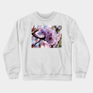 Spring Blossoms Crewneck Sweatshirt